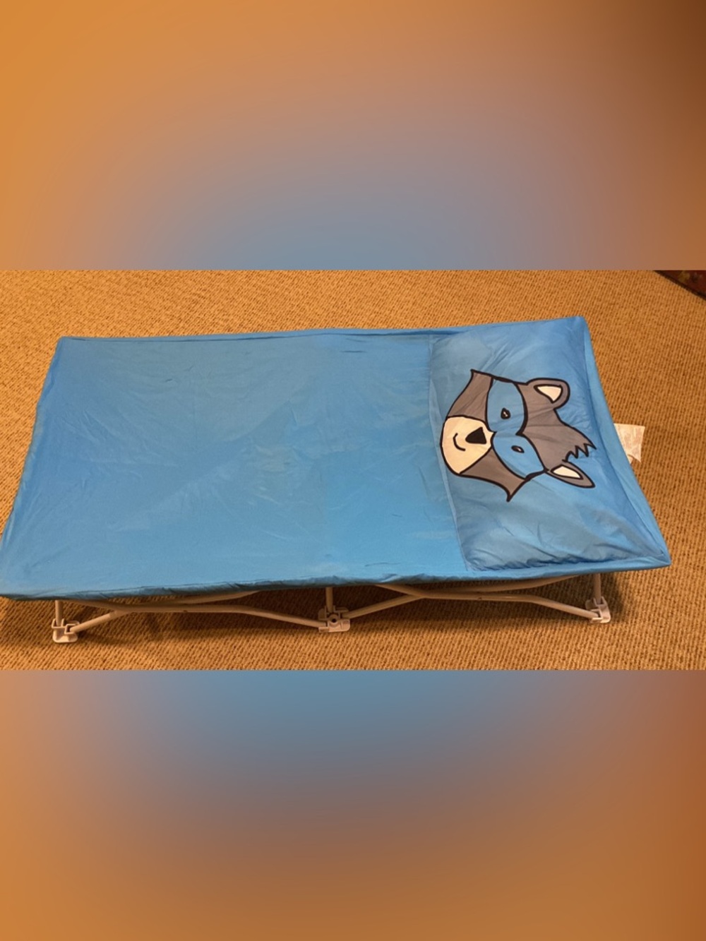 Blue Kids Swim Cot with Cartoon Raccoon Pillow